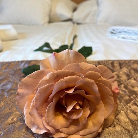Hotel Rose City 布达佩斯 外观 照片