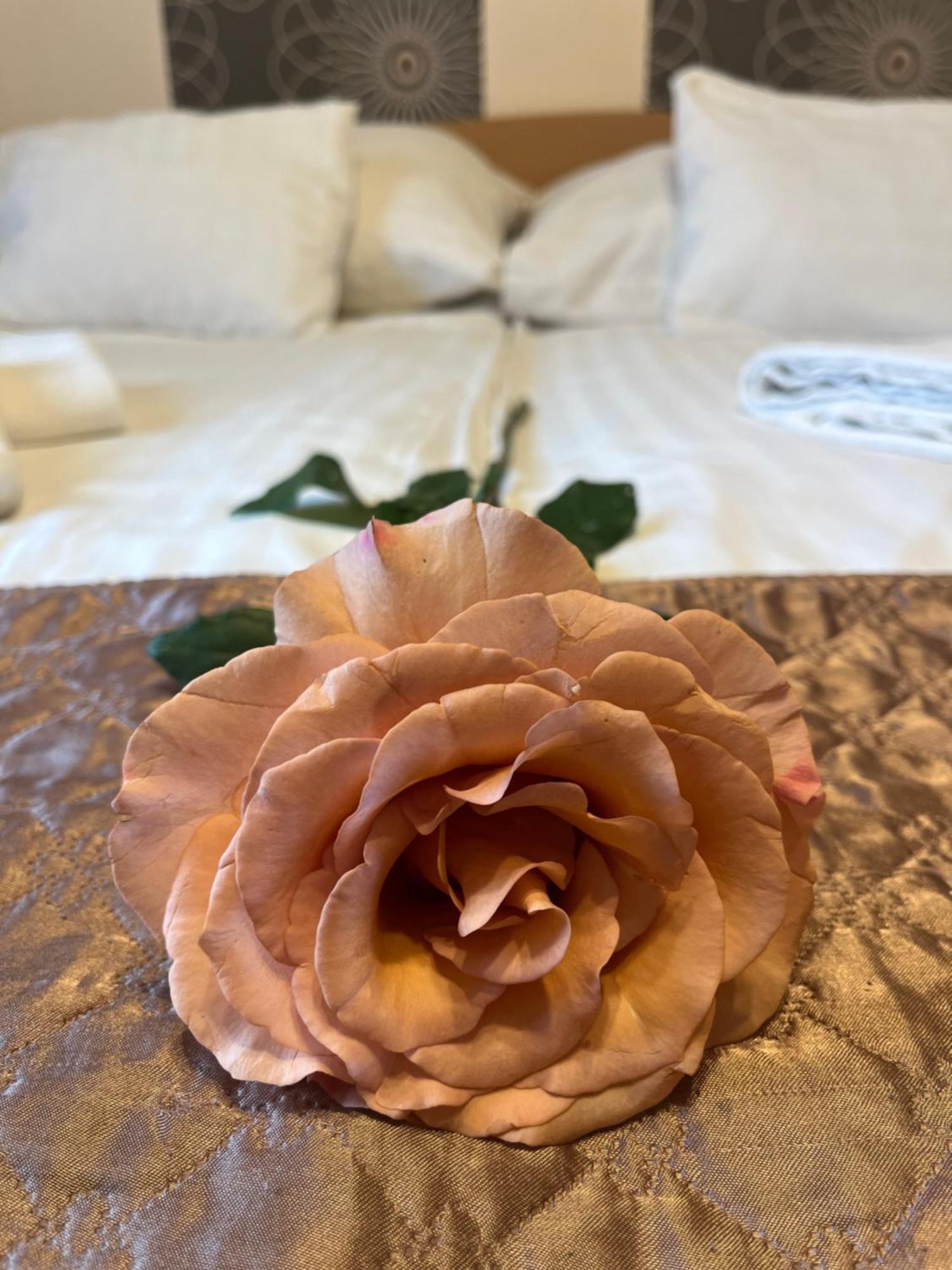 Hotel Rose City 布达佩斯 外观 照片